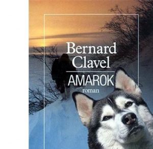 Livre FNAC Amarok
