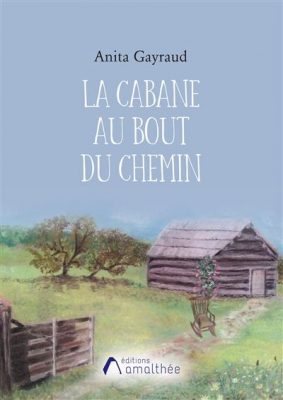 Livre FNAC La cabane au bout du chemin