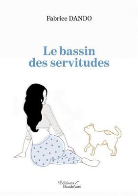 Livre FNAC Le bassin des servitudes