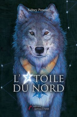 Livre FNAC L'étoile du Nord