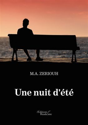 Livre FNAC Une nuit d'été