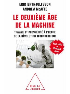 Le Deuxième âge de la machine