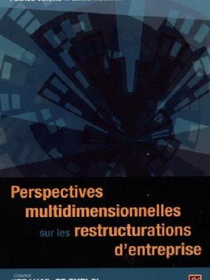 Perspectives multidimensionnelles sur les restructurations d'entreprise