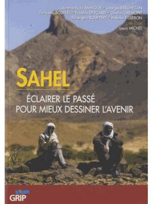 Livre FNAC Sahel : éclater le passer pour mieux dessiner l'avenir