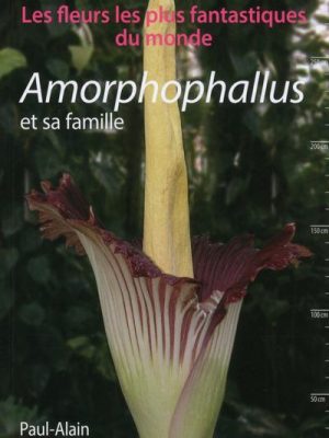 Amorphophallus et sa famille