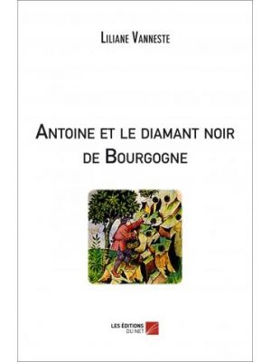 Livre FNAC Antoine et le diamant noir de Bourgogne