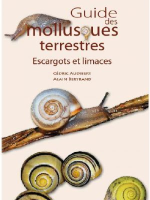 Guide des mollusques terrestres