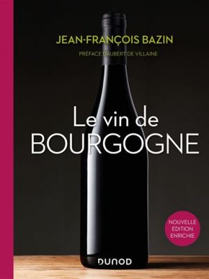 Livre FNAC Le vin de Bourgogne