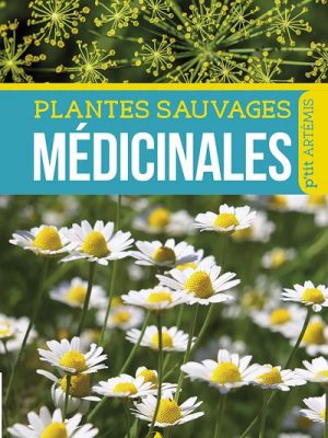 Plantes sauvages médicinales