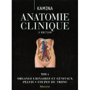 Anatomie clinique t4