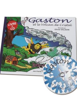Gaston et le volcan de cristal