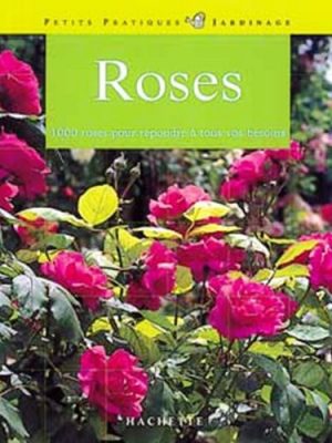 Roses : 100 roses pour répondre à tous vos besoins