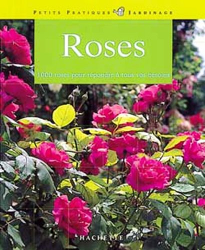 Roses : 100 roses pour répondre à tous vos besoins