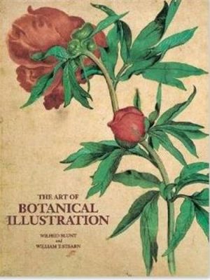 The art of botanical illustration